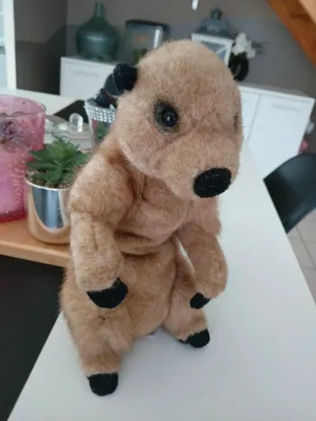 Péluche Suricate National Géographic🌿🎁