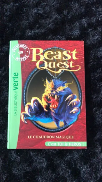 livre Beast quest le chaudron magique
