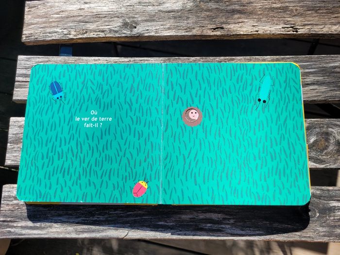 Très joli livre à volets, éditions Sarbacane, Et toi, où tu fais caca? - photo numéro 13