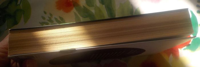 Le témoin de Franck Jendro Ed. Nouvelles Plumes - photo numéro 4