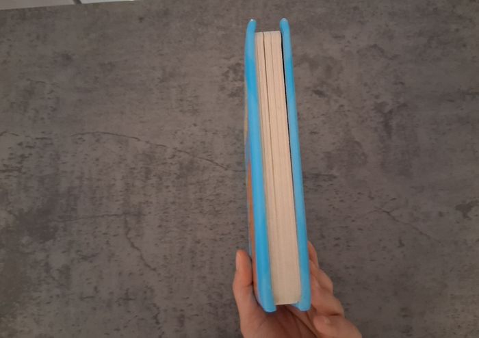 Livre enfant Le premier dictionnaire de bébé L'alphabet - photo numéro 5