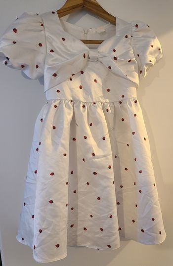 Robes de Noël /Robe de fête /Robe fille