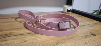 Ensemble de collier et laisse en Biothane 