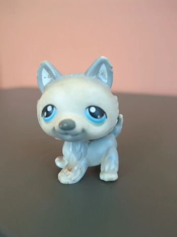 littlest petshop chien