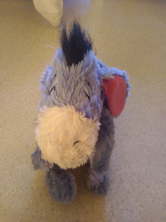 Bourriquet - photo numéro 2