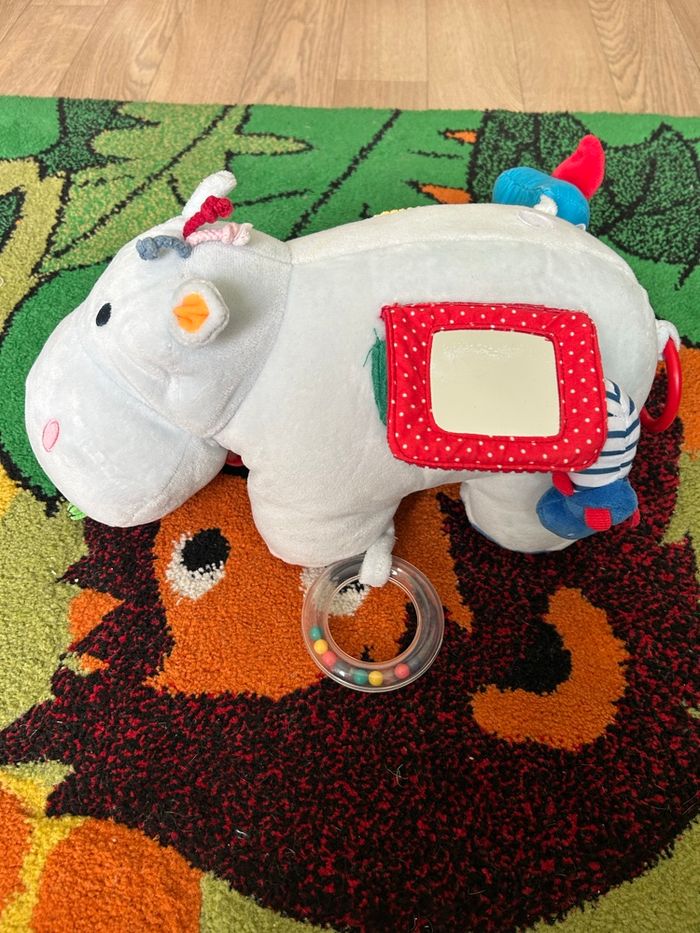 Axel hippopotame - photo numéro 2