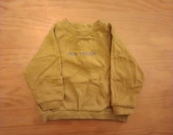 Sweat garçon Verbaudet 9 mois