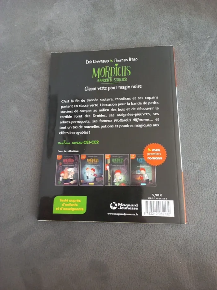 Livre mordicus apprenti sorcier premiers romans magnard jeunesse - photo numéro 3