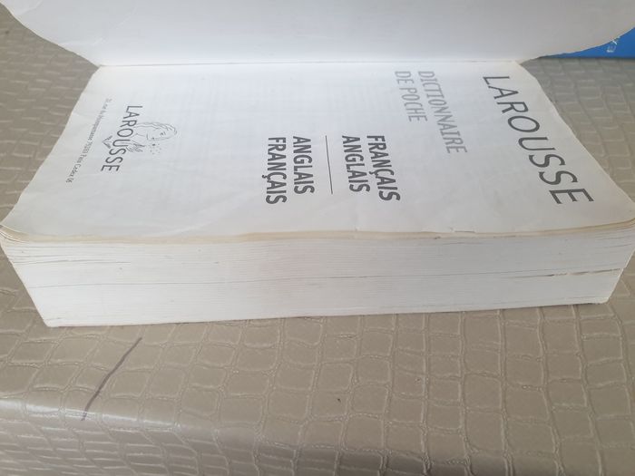 Dictionnaire de piche français anglais larousse - photo numéro 5