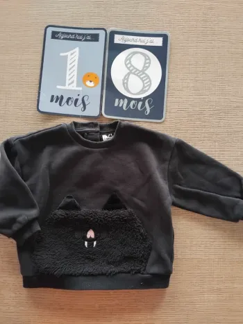 Pull 18 mois / 80 cm