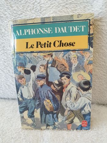 Livre Le Petit chose neuf