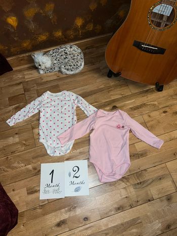 Lot de 2bodys lupilu très bon état 74/80-12mois