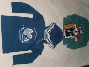 Lot de 2 tee-shirts manches longues Taille 36 mois