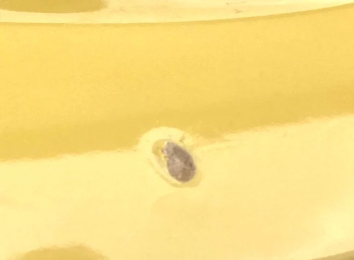 Années 1950 Plat de service de forme ovale Céramique émaillée jaune - photo numéro 3