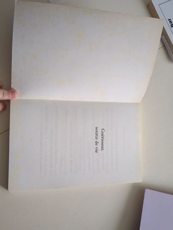 Livre - guérisseur source de vie - photo numéro 4