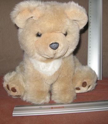 ours peluche