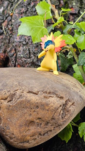 Super figurine Pokemon Nintendo typhlosion