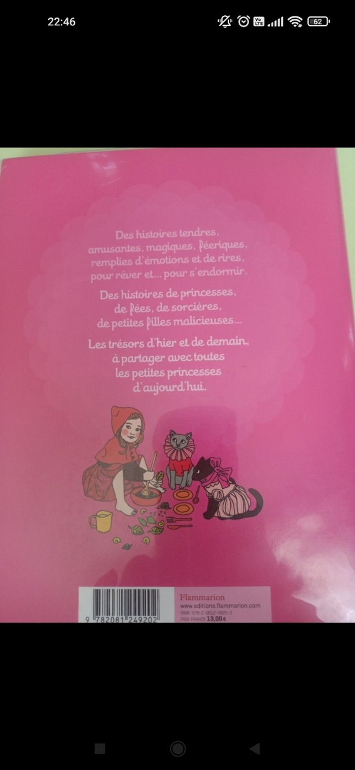 Livre de princesse - photo numéro 2