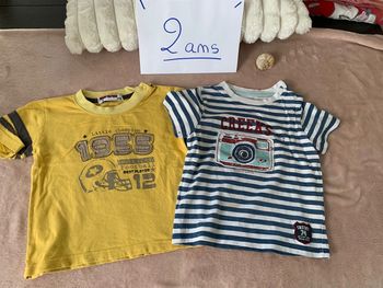Lot de 2 tee-shirts manches courtes taille 2 ans
