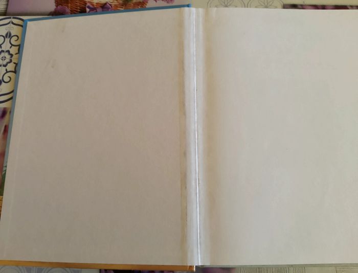 Livre les aventures de Timon et Pumba. - photo numéro 5