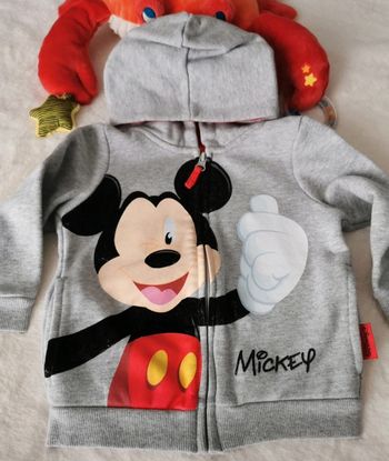 Veste Mickey Disneyland Paris 36 mois