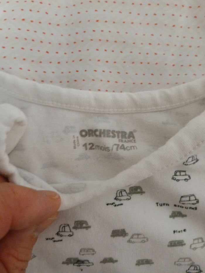 Body - photo numéro 2