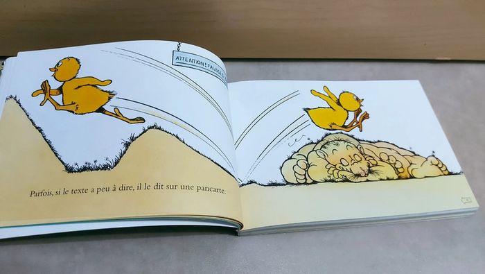 🌺 Livre (école des loisirs) : La course en livre - photo numéro 3