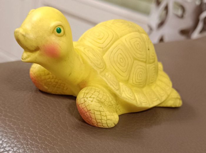 Tortue delacoste - photo numéro 2