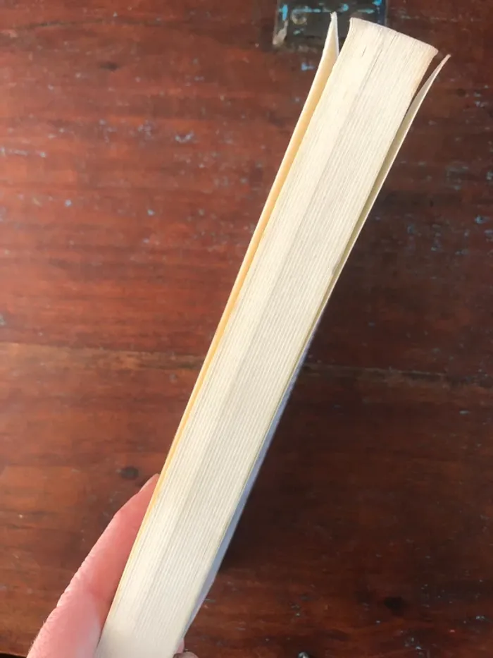 Livre broché "Le terrorisme intellectuel" de 1945 à nos jours - photo numéro 3