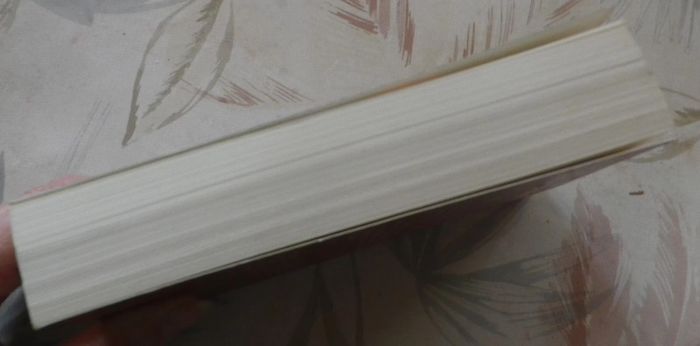 Petites embrouilles et pieux mensonges de Elizabeth Young Ed. Piment - photo numéro 4