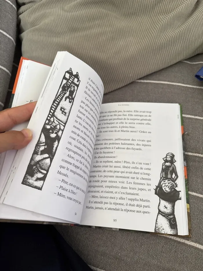Livre le faucon déniché - photo numéro 5
