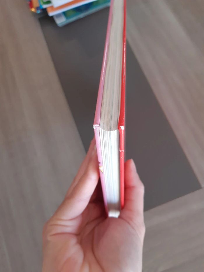 Le grand livre des princes,princesses et grenouilles. - photo numéro 5