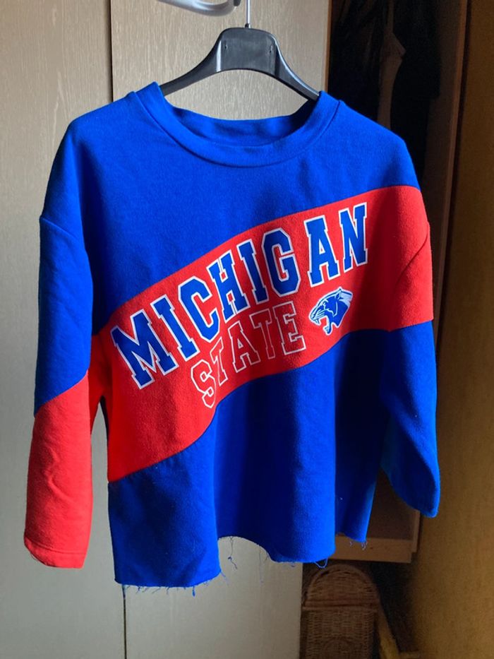 Superbe sweat-shirt USA Michigan Lions taille S