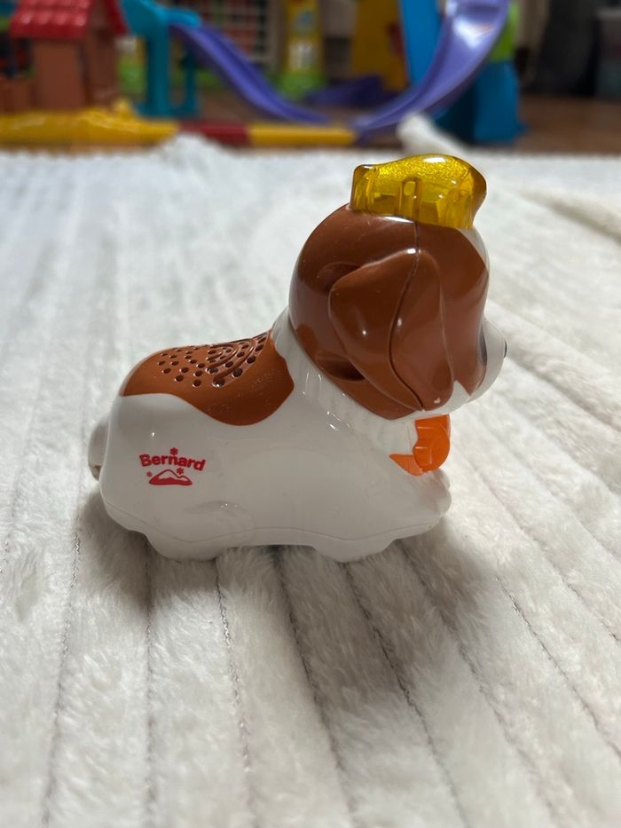 Tut tut animo Bernard le chiot