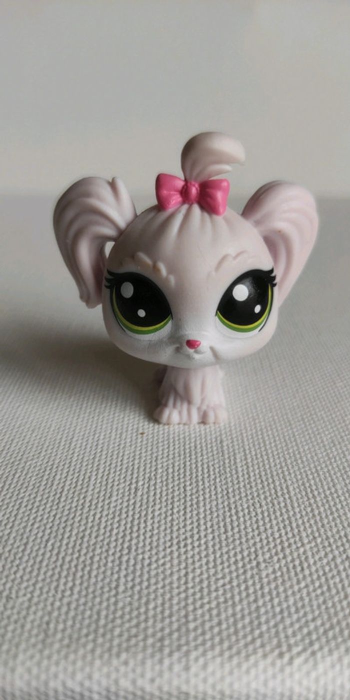 My littlest petshop chien bichon maltais 1-110 duchesse malteaser - photo numéro 2