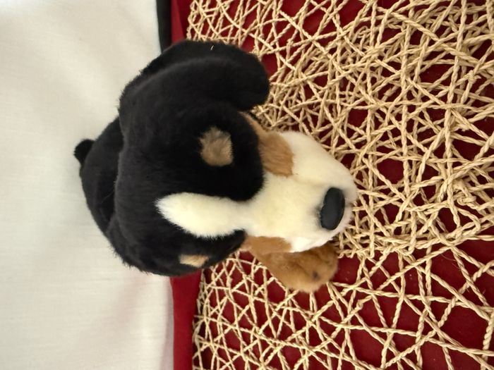 doudou chien bouvier bernois ami plush - photo numéro 4