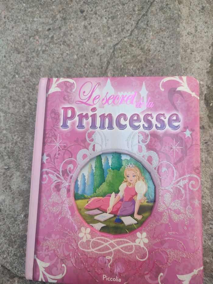 Livre le secret de la princesse - photo numéro 3