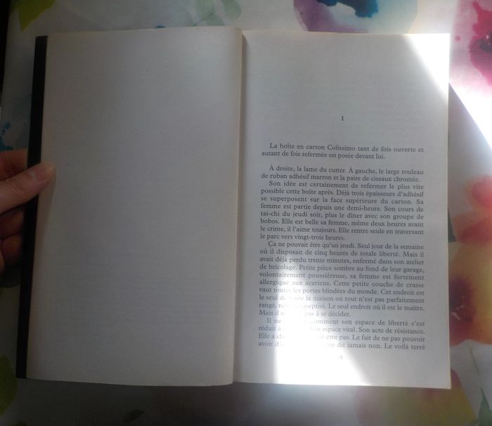 Le témoin de Franck Jendro Ed. Nouvelles Plumes - photo numéro 5