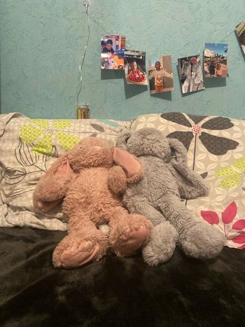 ensemble/lot de lapin, doudou, tout doux rose et gris