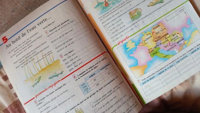 Nathan vacances🔸du CE2 au CM1 🔄 - photo numéro 6