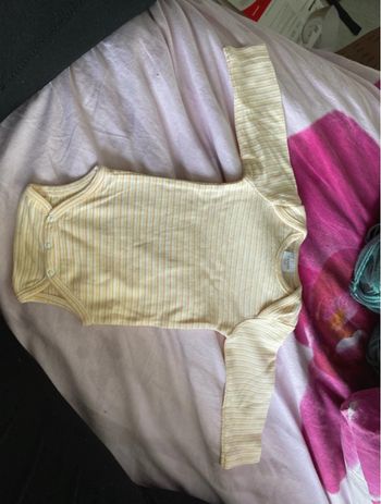 Lot bodies canari baby