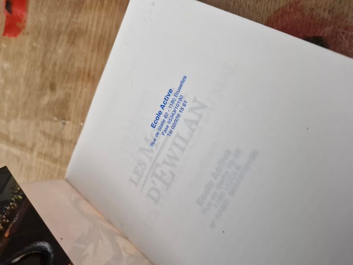 Intégrale Saga Ewilan en 6 tomes - photo numéro 9