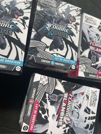 Bundle ev10.5 foudre blanche/foudre  noire