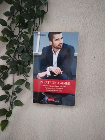 🌸Livre romance un patron a aimer🌸