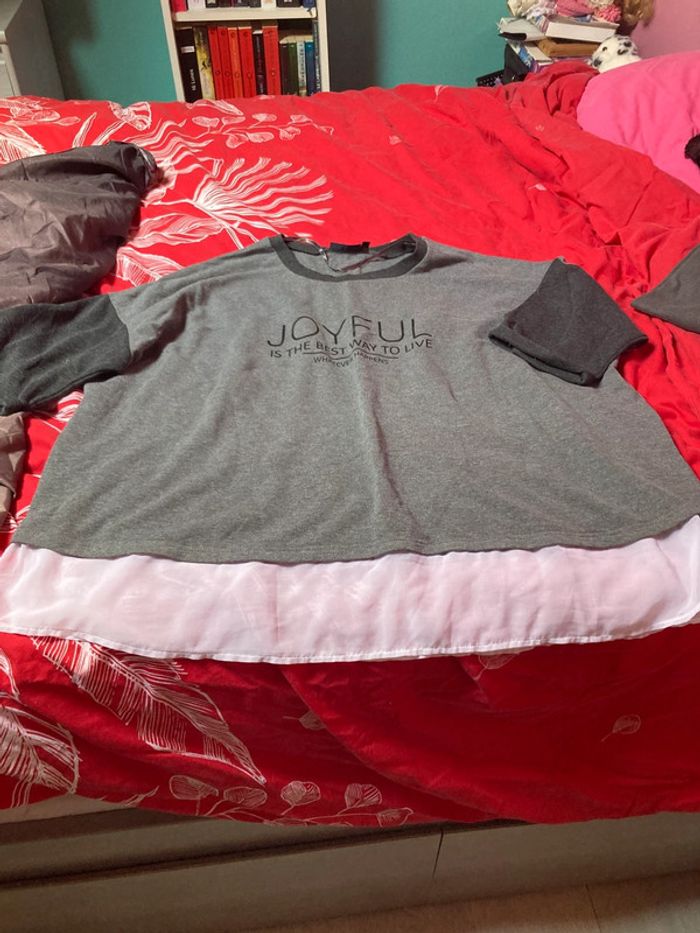 Lot de 2 pulls - photo numéro 6