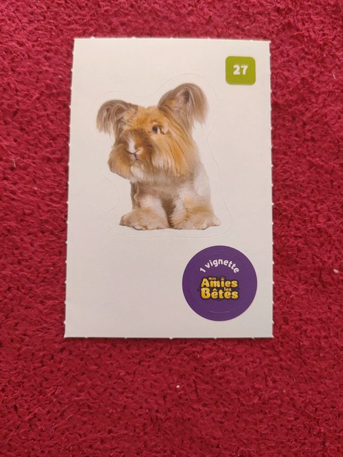 Carte nos amies les bêtes