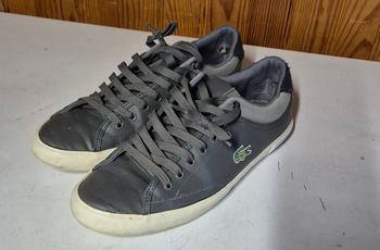 Basket grise homme lacoste taille 42