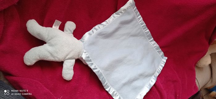 Ourson avec sa couverture - photo numéro 2