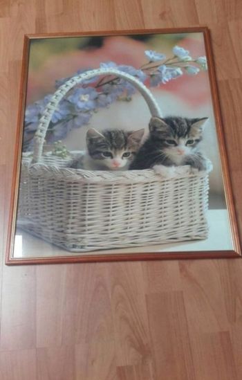 Cadre chatons dans un panier