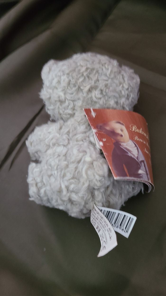 Ours gris bouclette avec cicatrice - Bukowski - photo numéro 3